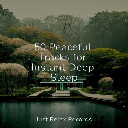 50 Peaceful Tracks for Instant Deep Sleep