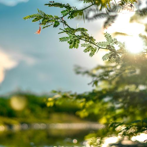 Best emotional piano pieces to listen to while relaxing Vol.1