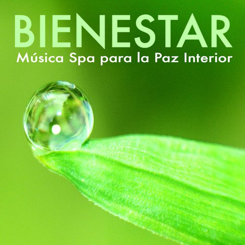 Musica para Relajarse Profundamente cover art