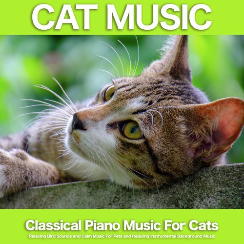 Lyric Pieces, Arietta - Grieg - Nature Sounds and Classical Piano - Background Classical Music and Bird Sounds - Cat Music - Relaxing Music For Cats