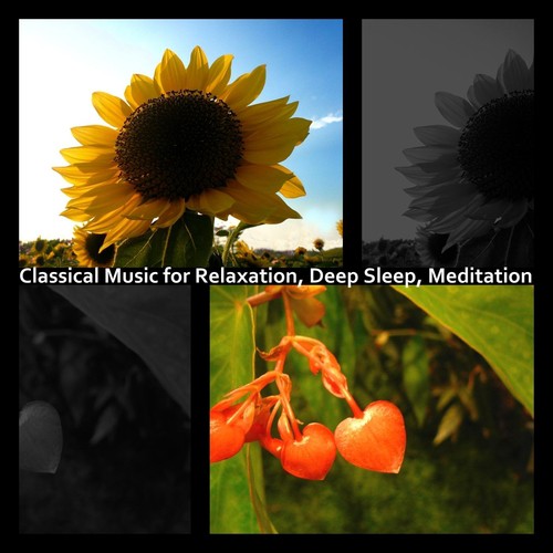 Classical Music for Relaxation, Deep Sleep, Meditation