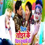 Dil Toir Ke Dil Dukhabee Chhi