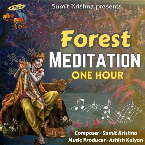 Forest Meditation One Hour