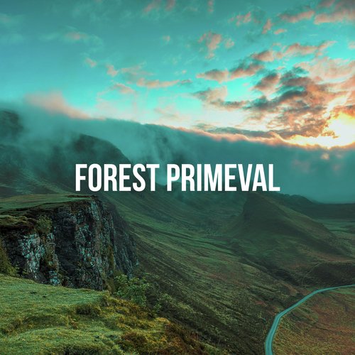 Forest Primeval_poster_image