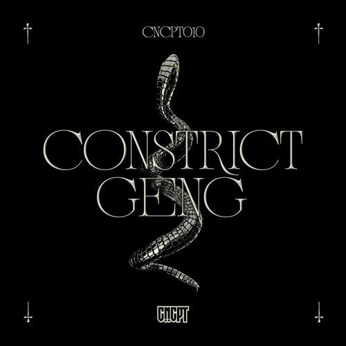 Geng cover art