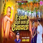 He Swami Parat Chala Ho Shegavla