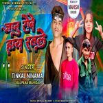 Janu Rove Haye Ratle