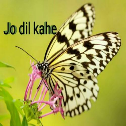 Jo dil kahe