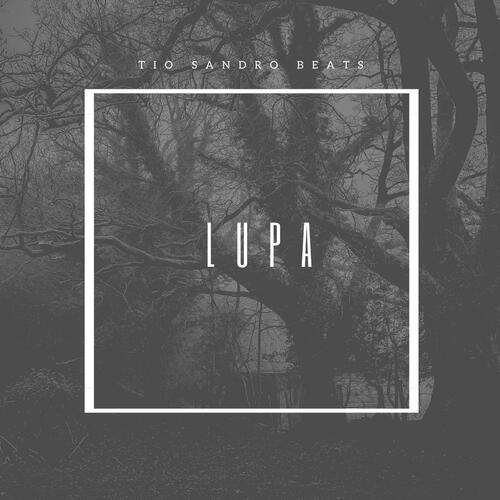 LUPA cover art