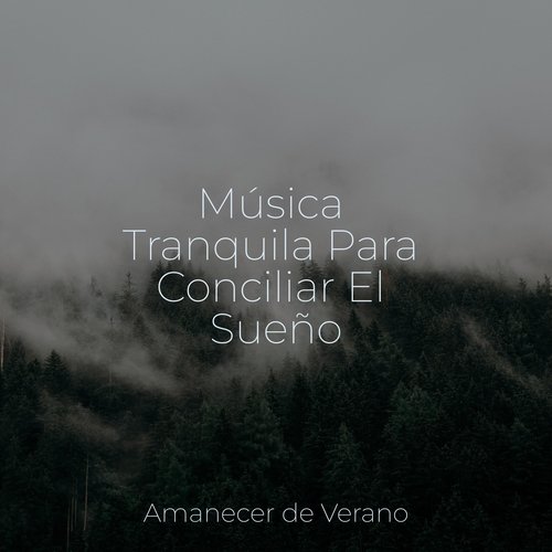 Música Tranquila Para Conciliar El Sueño