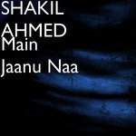 Main Jaanu Naa