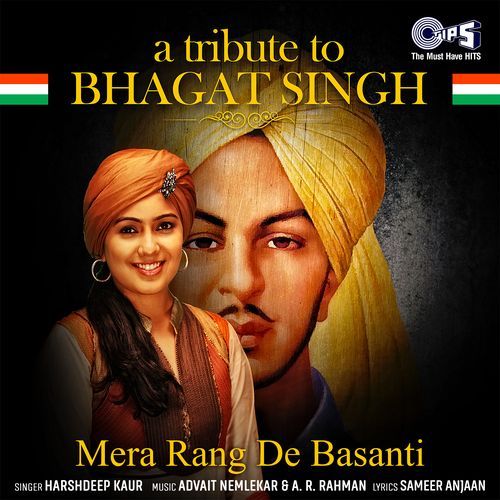 Mera Rang De Basanti: A Tribute to Bhagat Singh_poster_image