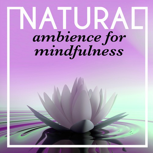 Natural Ambience for Mindfulness