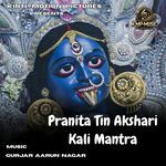 Pranita Tin Akshari Kali Mantra