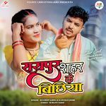 Raipur Shahar Ke Bichhiya