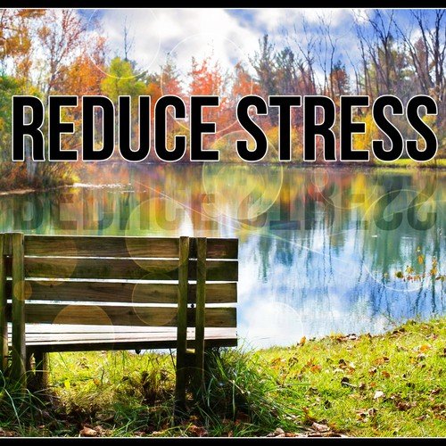 Reduce Stress - Relaxing New Age Background Music, Chillout Music, Calm Music with Instrumental Piano, Flute and Nature Sounds