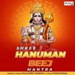 Shree Hanuman Beej Mantra