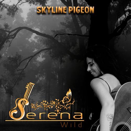 Skyline Pigeon_poster_image