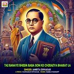 Tai Banaye Bheem Baba Son Ke Chiraeya Bharat La