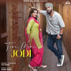Teri Meri Jodi