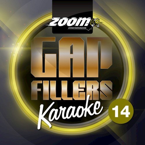 Zoom Karaoke Gap Fillers - Volume 14