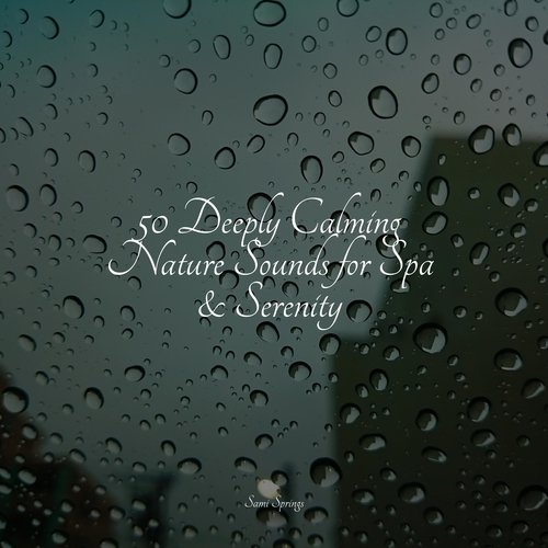 50 Deeply Calming Nature Sounds for Spa & Serenity