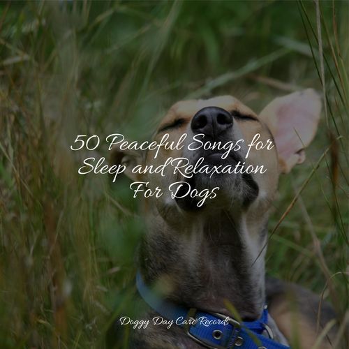 50 Peaceful Songs for Sleep and Relaxation For Dogs