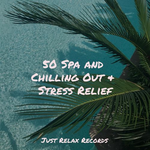 50 Spa and Chilling Out & Stress Relief_poster_image