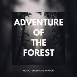 Adventure Of The Forest-JlFffzZ5dFI