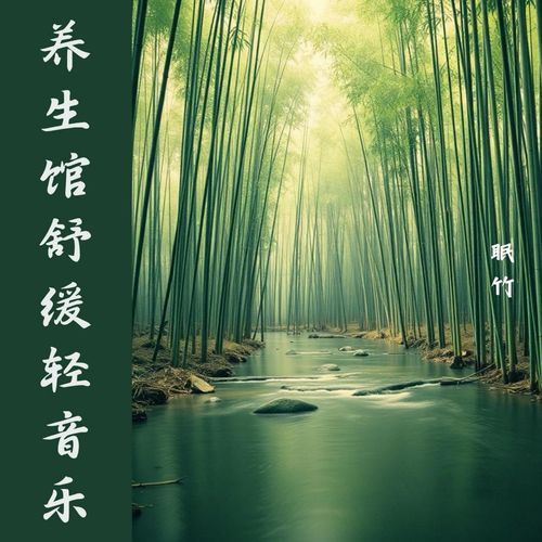 中医养生馆解压轻音乐 cover art
