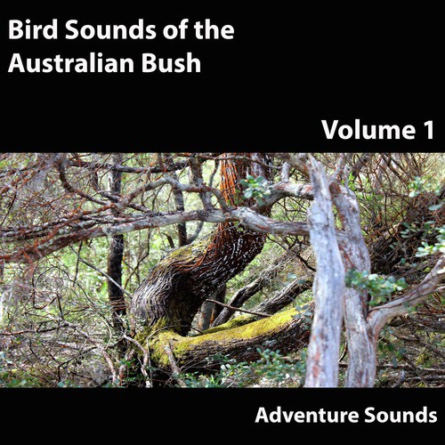Bird Sounds of the Australian Bush, Vol. 1