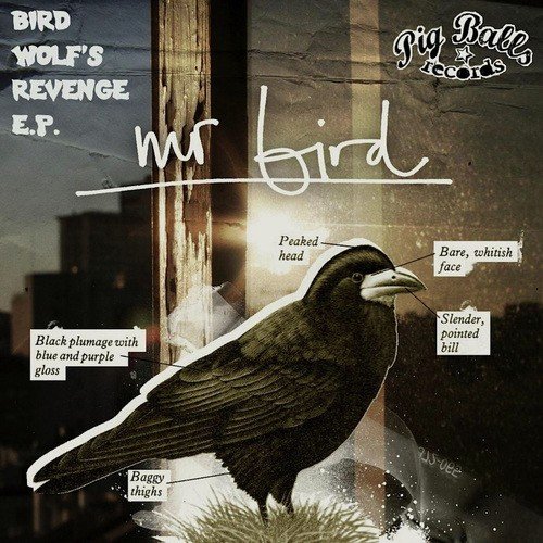Bird Wolfs Revenge (PulpFusion Remix) cover art