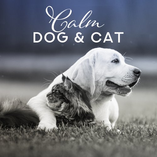Calm Dog & Cat (Serene Sounds for Puppies, Kittens, Calm Dow Your Pet, Absolute Relaxation, Stress Reduction and Anxiety Help)