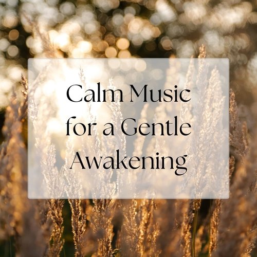 Calm Music for a Gentle Awakening_poster_image