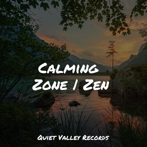 Focused, Relaxed cover art