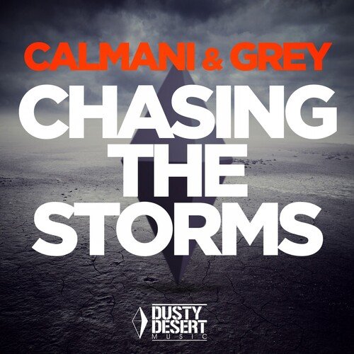 Chasing the Storms (Neptunica Remix Edit)