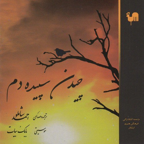 Chidan-E Sepideh Dam (Picking the Dawn) - Shamlu Narrates Margot Bickel_poster_image