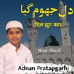 Dil Jhoom Gaya Naat Sharif artwork