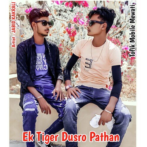 Ek Tiger Dusro Pathan