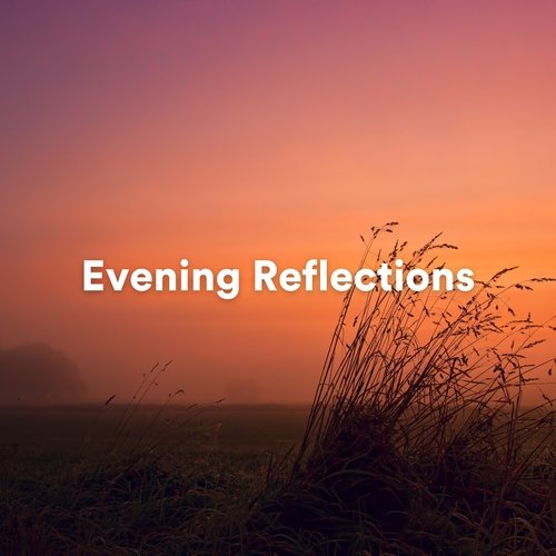 Evening Reflections