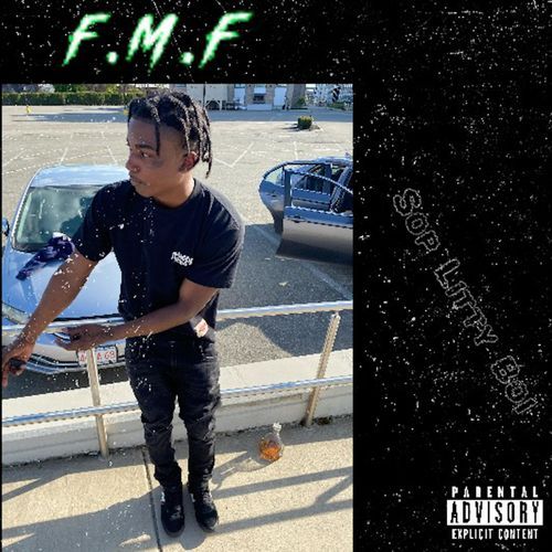 FMF cover art