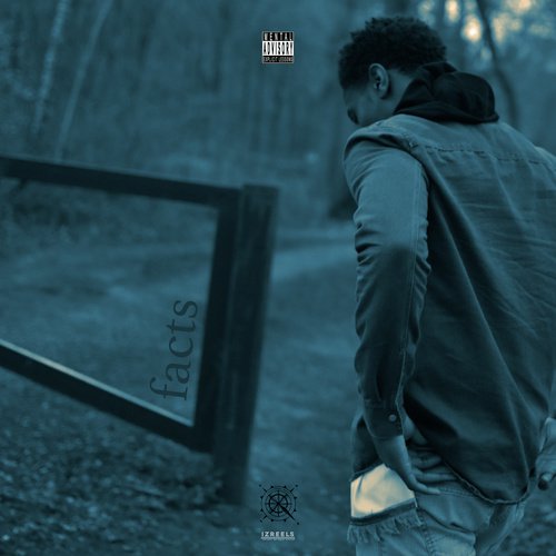 Facts cover art
