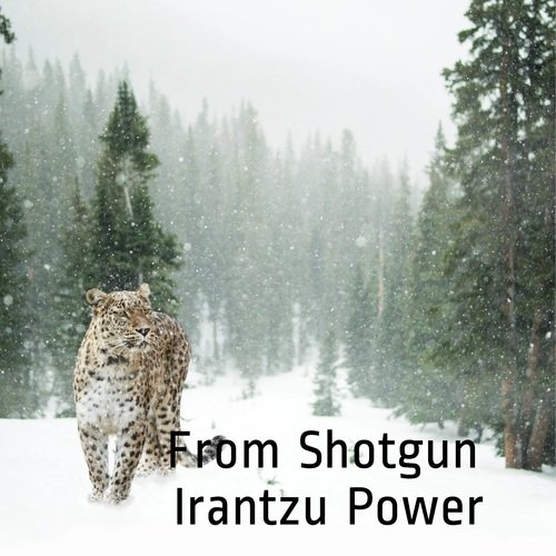 Sachin cover art
