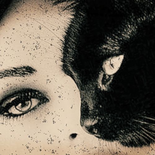 Gata Oscura cover art