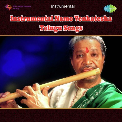 Seshadri Sikharana - Instrumental