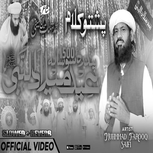 Jashne Sarkar Rage (Lofi-Mix)