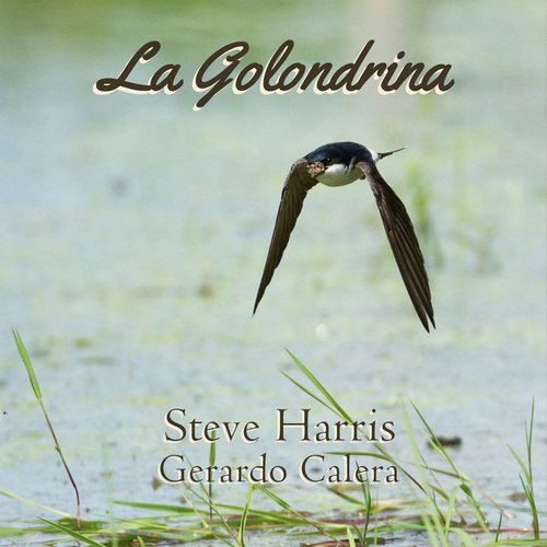 La Golondrina (feat. Gerardo Calera)_poster_image