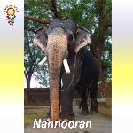 Nannooran