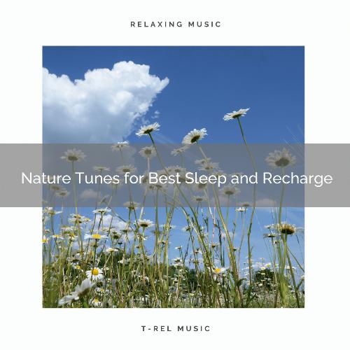 Peaceful All Noises For Special Relax Dreams cover art