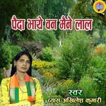 Paida Bhaye Han Van Maine Lal